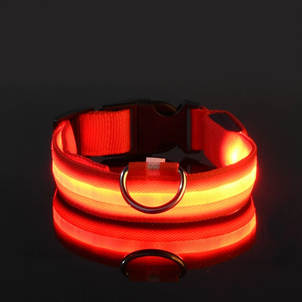 Glow Dog Collar