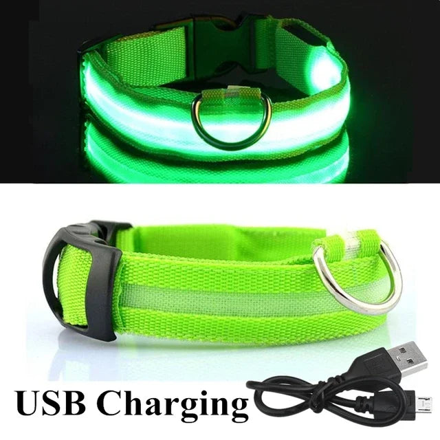Luminous Pet Collar