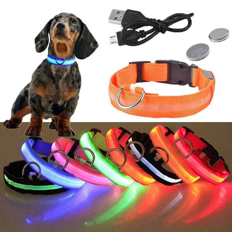 Luminous Pet Collar