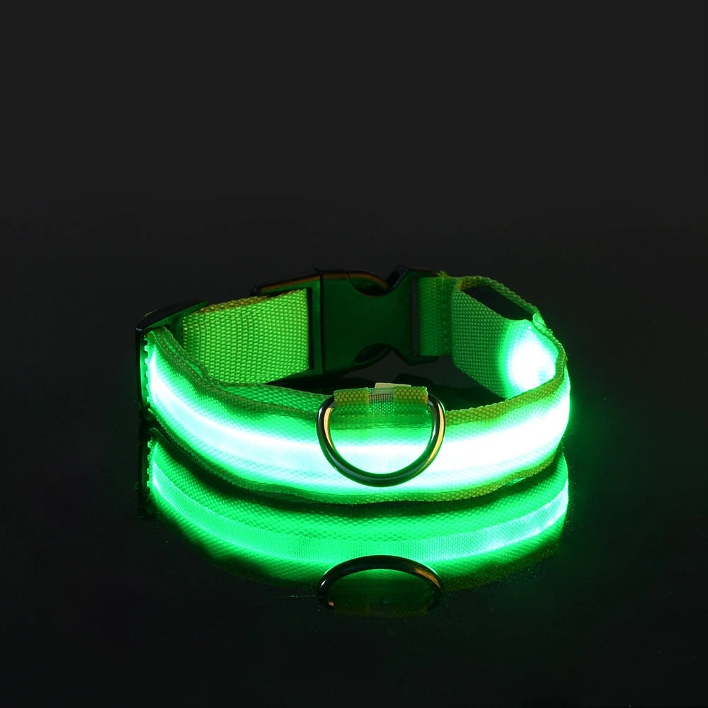 Glow Dog Collar