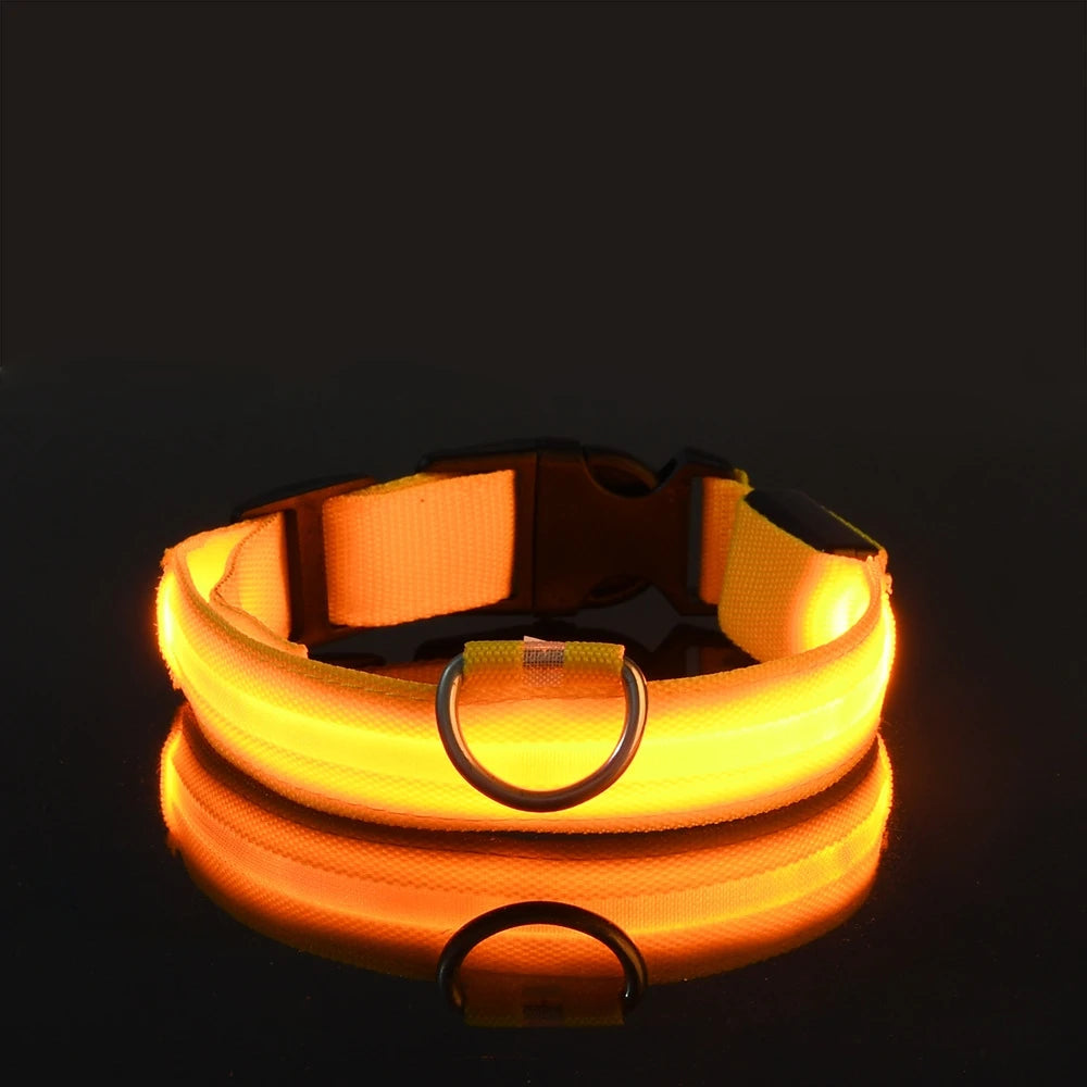 Glow Dog Collar