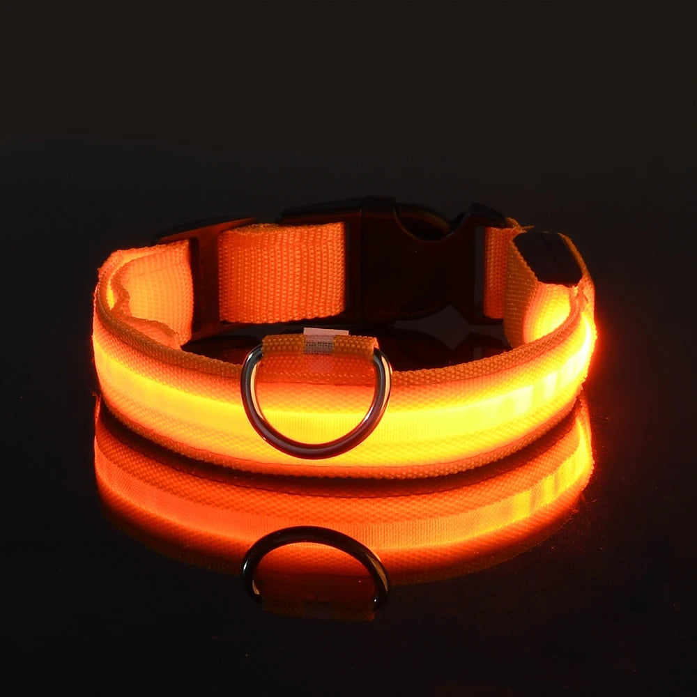 Glow Dog Collar