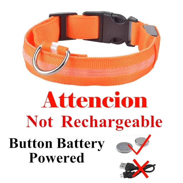 Luminous Pet Collar