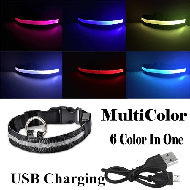 Luminous Pet Collar