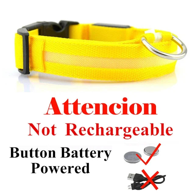 Luminous Pet Collar