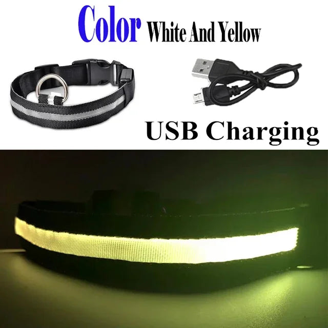 Luminous Pet Collar