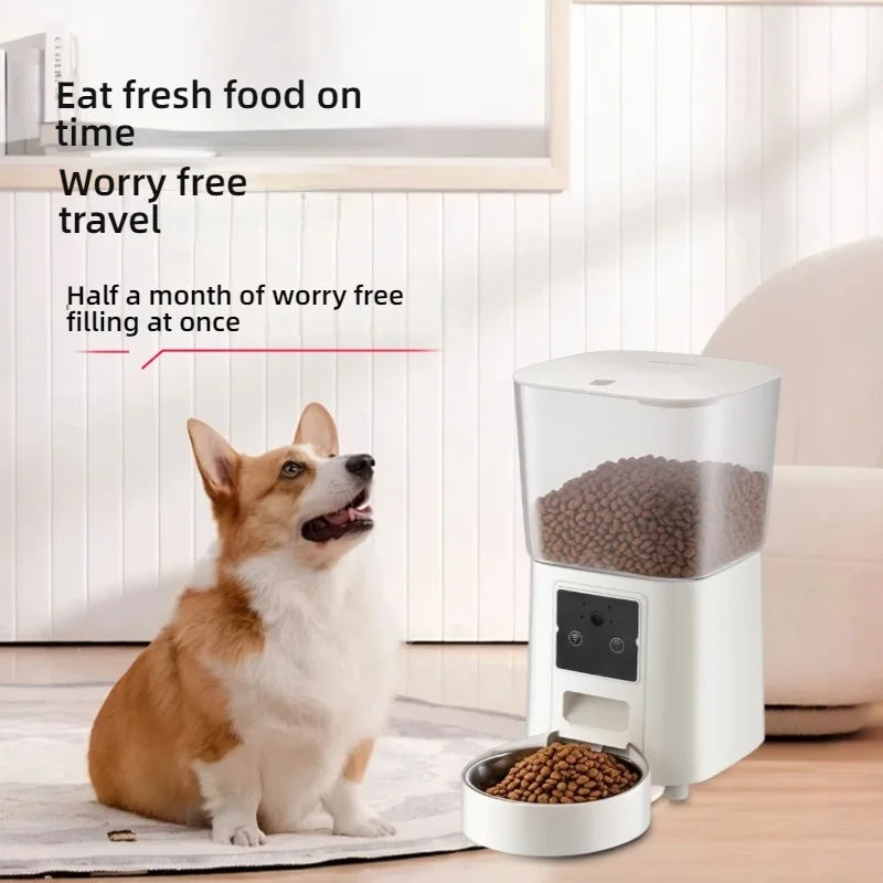 Pet Preservation Automatic Feeder