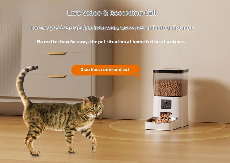 FurBuddy Intelligent Feeder