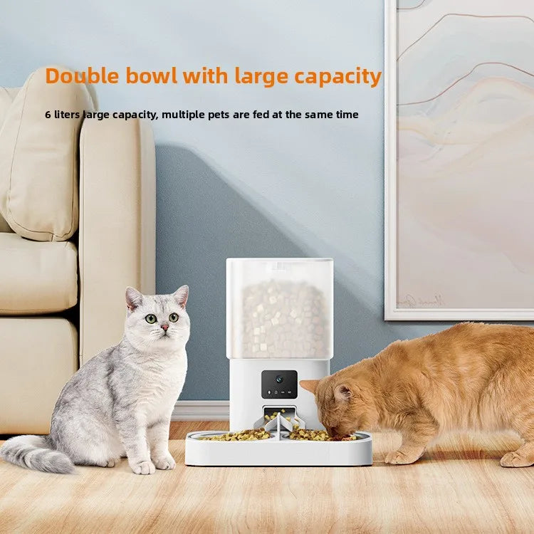 FurBuddy Intelligent Feeder
