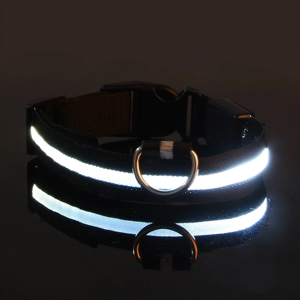 Glow Dog Collar