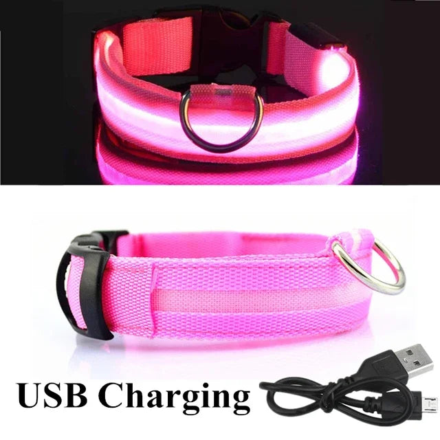 Luminous Pet Collar