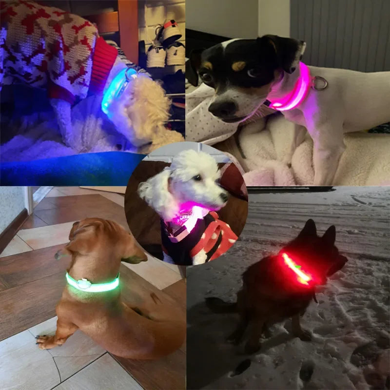 Luminous Pet Collar