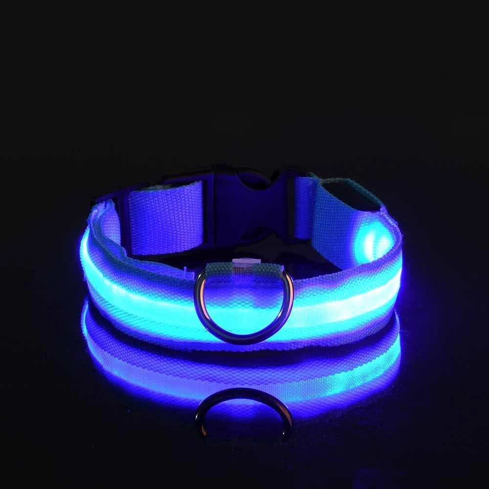 Glow Dog Collar