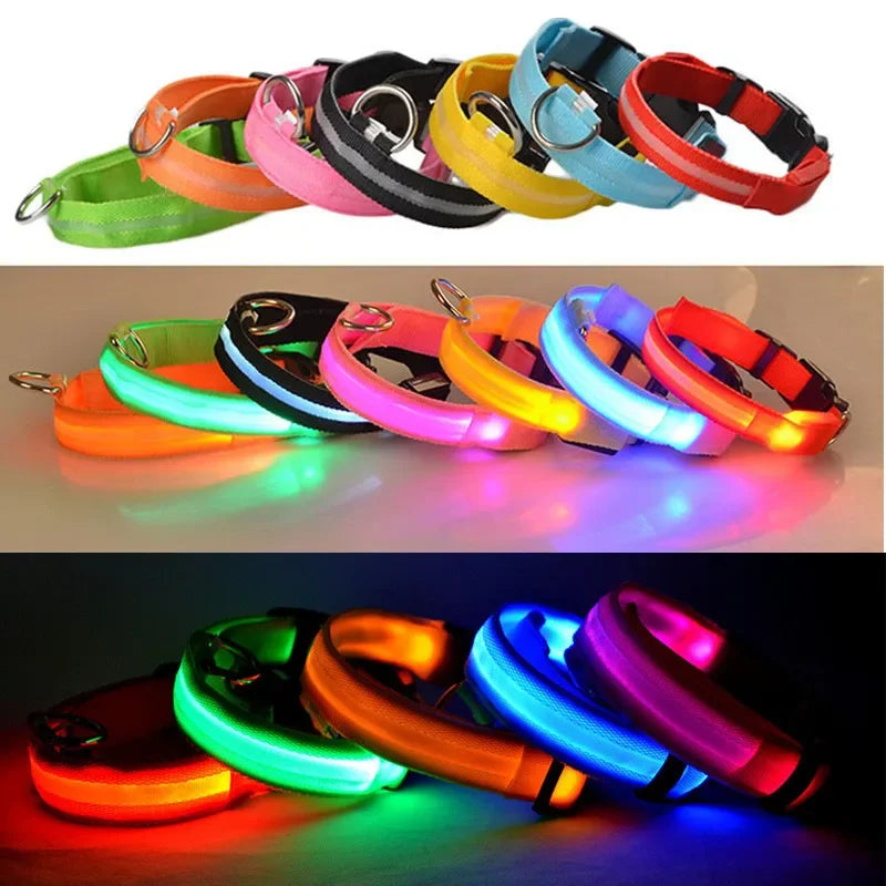 Luminous Pet Collar