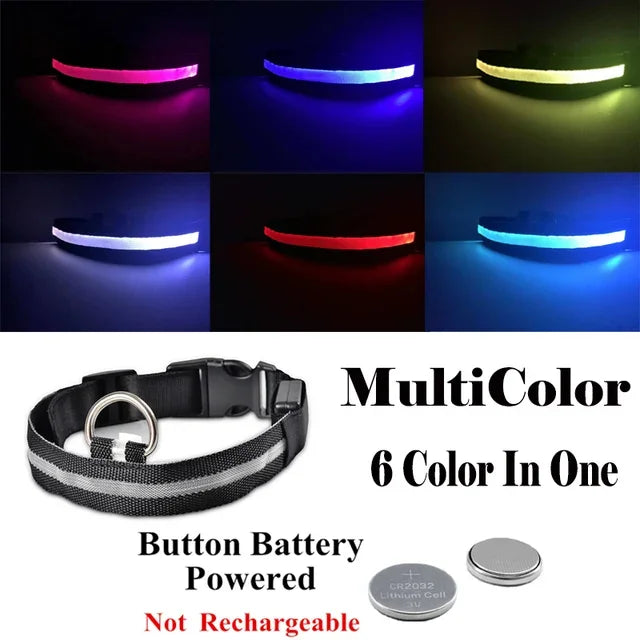 Luminous Pet Collar