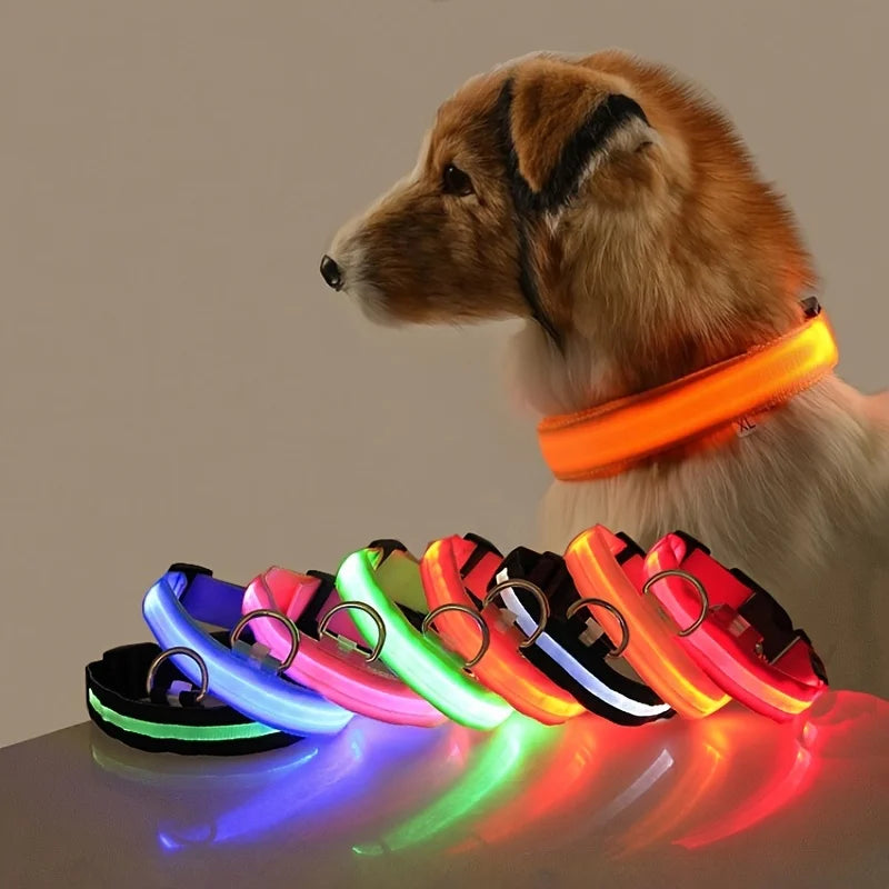 Glow Dog Collar
