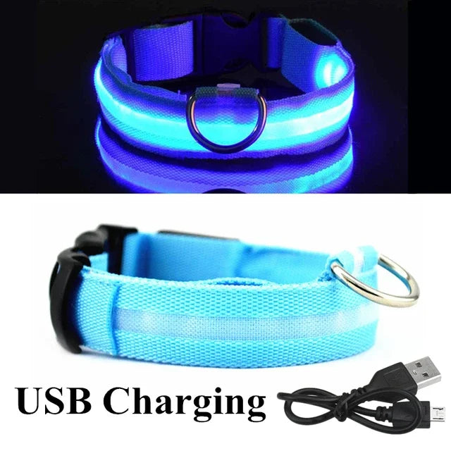 Luminous Pet Collar