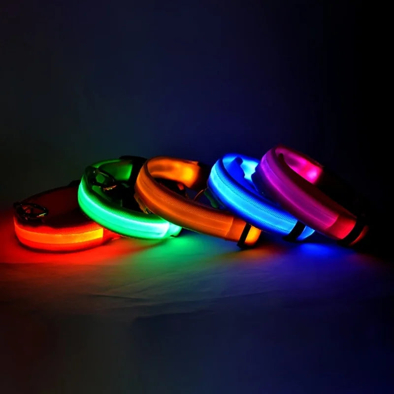 Glow Dog Collar