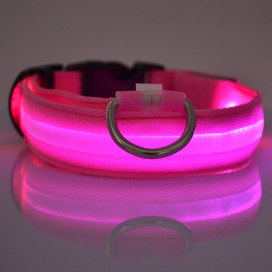 Glow Dog Collar