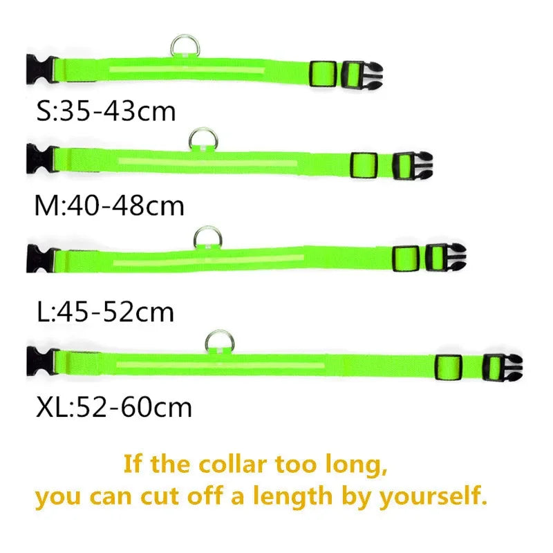 Luminous Pet Collar