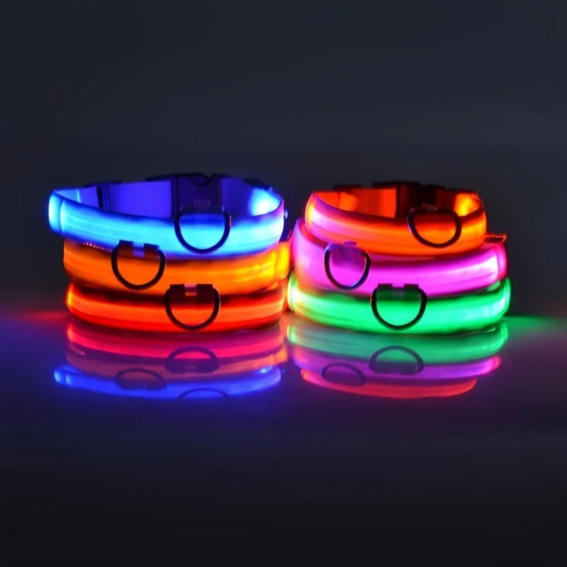 Glow Dog Collar