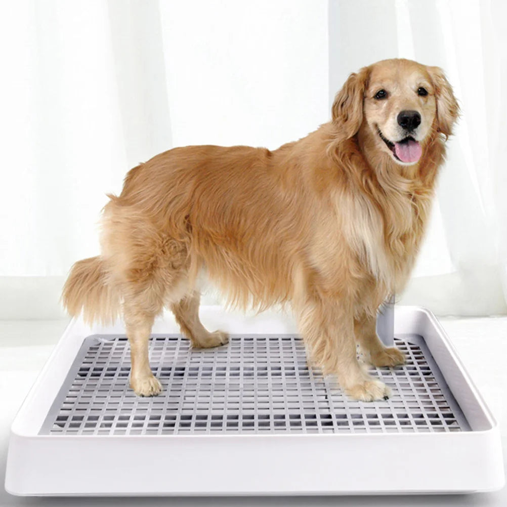 Splash-Proof Dog Potty Tray