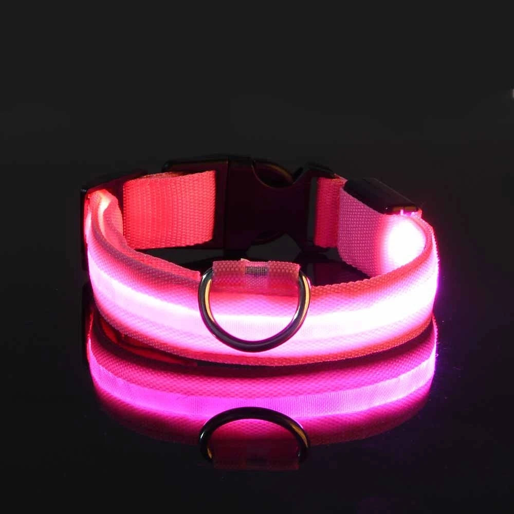 Glow Dog Collar