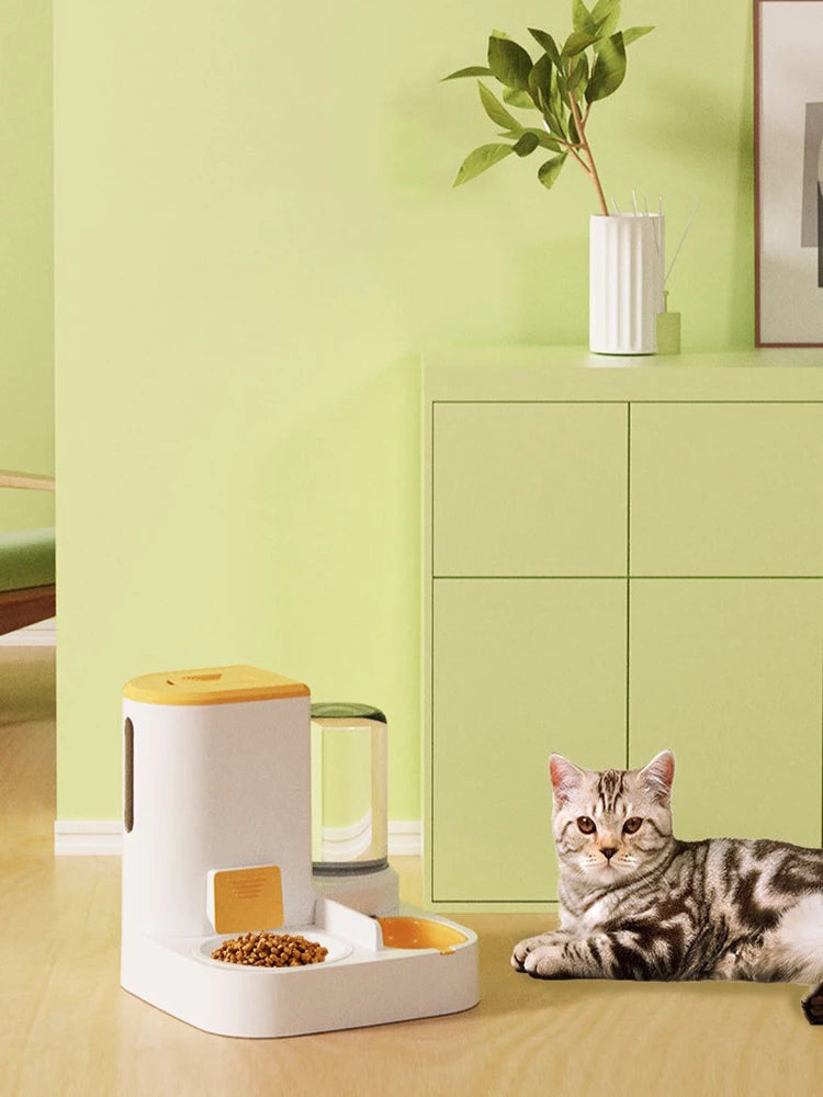 Pet water and food feeder