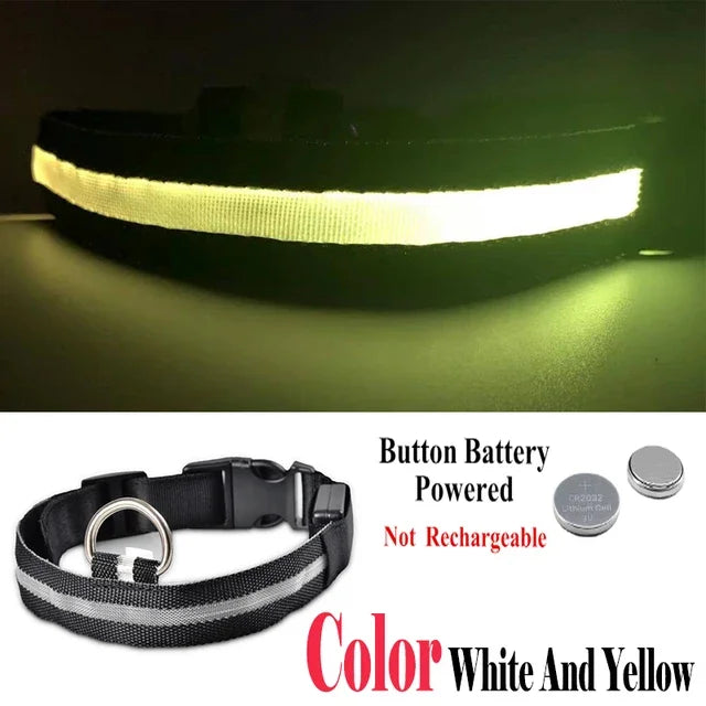 Luminous Pet Collar
